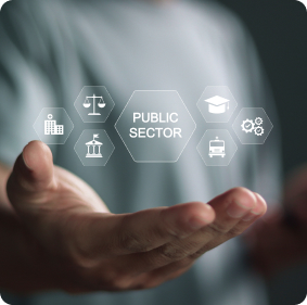 Government & Public Sector